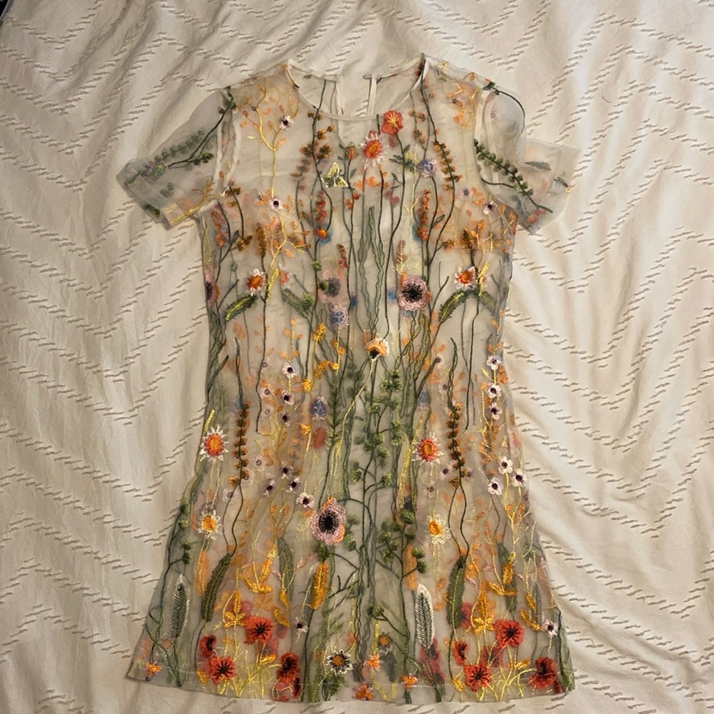 Sheer Embroidered Dress